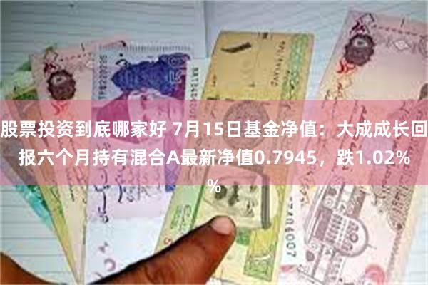 股票投资到底哪家好 7月15日基金净值：大成成长回报六个月持有混合A最新净值0.7945，跌1.02%