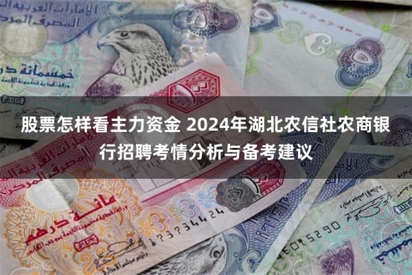 股票怎样看主力资金 2024年湖北农信社农商银行招聘考情分析与备考建议